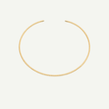 Gold twisted collar on a light beige background